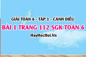 Giải bài 1 trang 112 Toán 6 Tập 1 SGK Cánh Diều